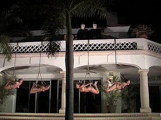 Ba cô gái bị trói buộc làm nhục về một bãi cỏ vào đêm khuya
