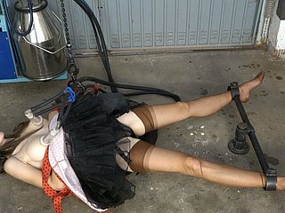Vắt sữa trong nylons