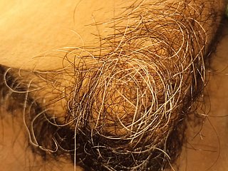 A buceta e clitóris peludos da minha esposa