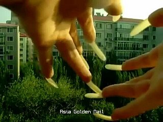 Long d'AGN (divers clips)