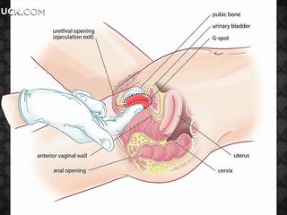 Belajar untuk membuat urutan erotik untuk wanita anda, membuat dia gembira dan berehat dan kemudian be captivated by keras beliau! Whe akan menjadi plasticine lembut
